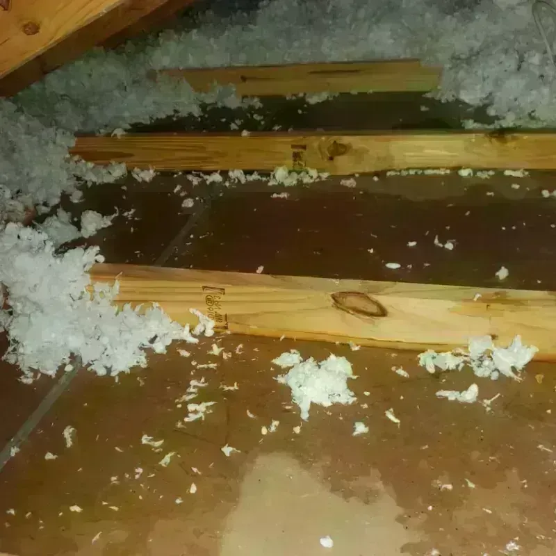 Attic Water Damage in Tatum, TX