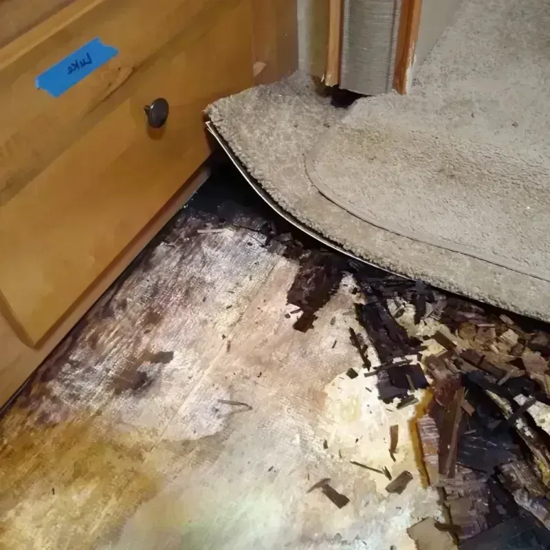 Wood Floor Water Damage in Tatum, TX